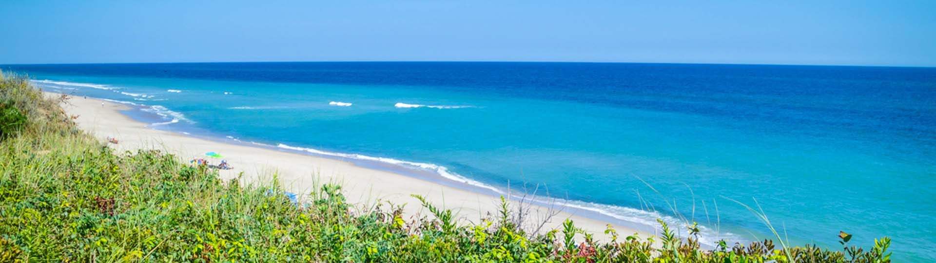 are dogs allowed on cape cod national seashore